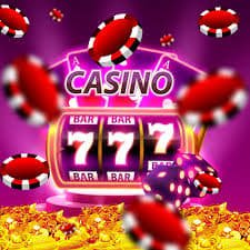 win312